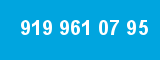 919 961 07 95 919 961 07 95